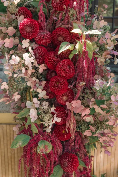 Wedding floral arrangement with red dahlia wedding flowers, pink hydrangea and trailing amaranthus against wood paneling and window panes