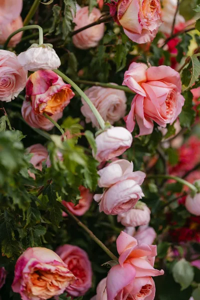 Wedding florals with pink rose wedding flowers and garden roses layered with greenery stems against a lush foliage backdrop