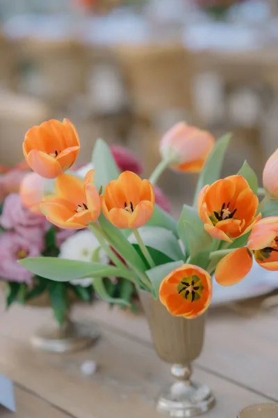 Tulip centerpiece in a gold goblet vase on a wood table, blurred florals in the background softening the scene.