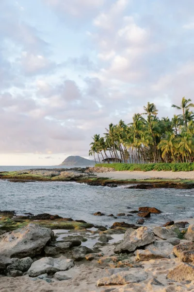 Tropical beach with a palm tree shoreline under a cloudy sky, with a distant mountain rising beyond the open sea, serene and inviting.