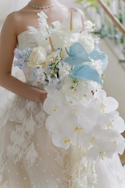 Bridal bouquet, a cascading orchid bouquet of white orchids, blue and white anthuriums, and white roses, finished with pearl accents.