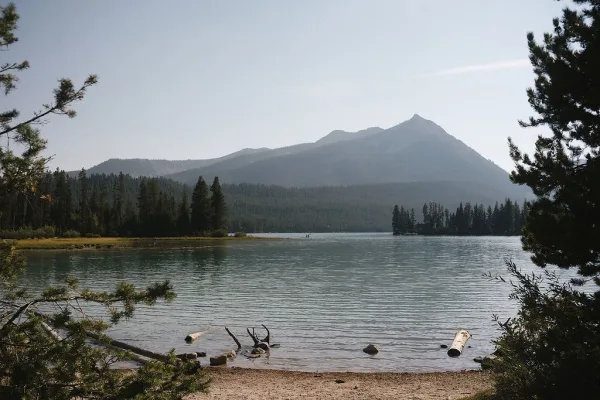 Mountain lake landscape with alpine lake shoreline, calm water reflecting hazy peaks, driftwood logs on rocky shore and evergreens across lake