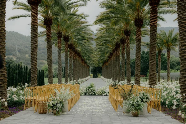 Ceremony setup along an outdoor ceremony aisle with bentwood chairs, framed by palm trees and distant mountains under a clear sky.