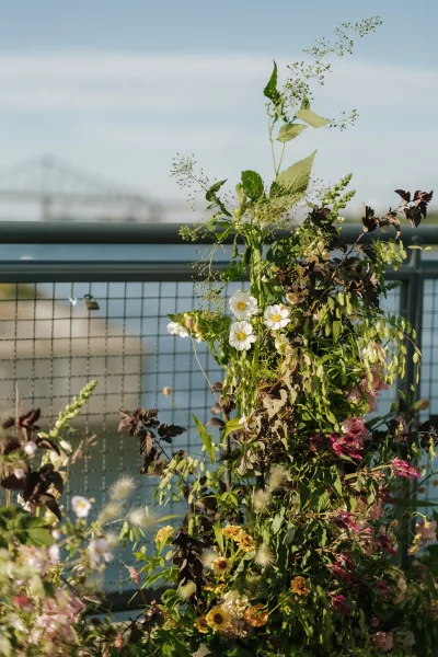 Floral ceremony backdrop with wildflower ceremony flowers, white cosmos and pink blooms with burgundy foliage on a waterfront railing by a bridge