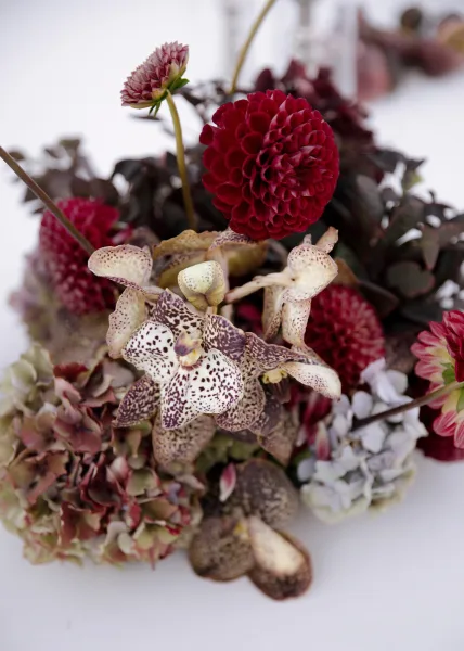 Wedding bouquet with burgundy wedding bouquet tones, featuring dahlias, orchids, hydrangea, and deep foliage arranged on a white surface