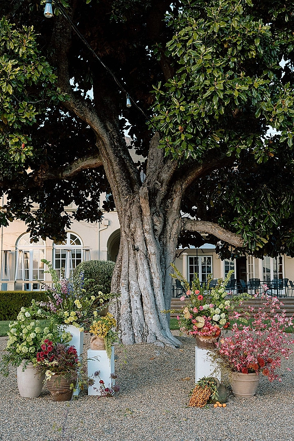 Ceremony entrance decor with floral ceremony entrance planters, white pedestals, greenery and fruit beneath string lights in a gravel courtyard