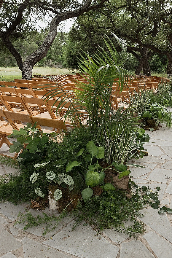Ceremony aisle decor with outdoor ceremony seating, wood folding chairs lined by palm fronds and potted greenery under oak trees