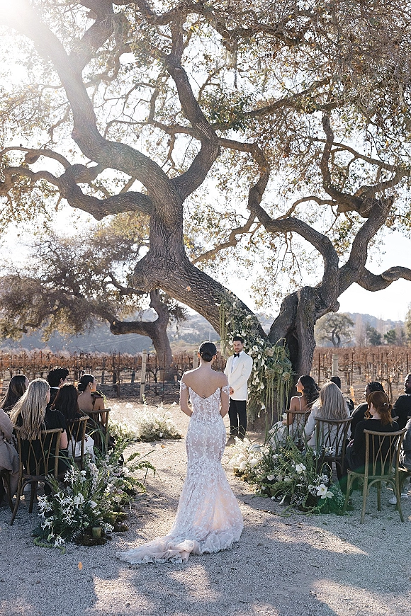 Outdoor wedding ceremony with bride walking down aisle toward a floral arch beneath a large oak tree, guests seated by aisle florals in vineyard rows