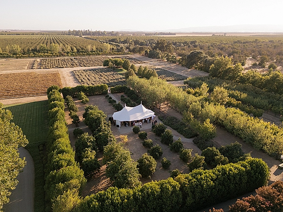 Outdoor wedding tent set beside orchard rows and hedges, a white marquee setup overlooking farmland fields and dirt paths under open sky