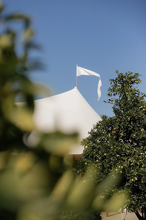 Wedding tent with a white flag at the peak set among citrus trees and foliage under a clear blue sky backdrop