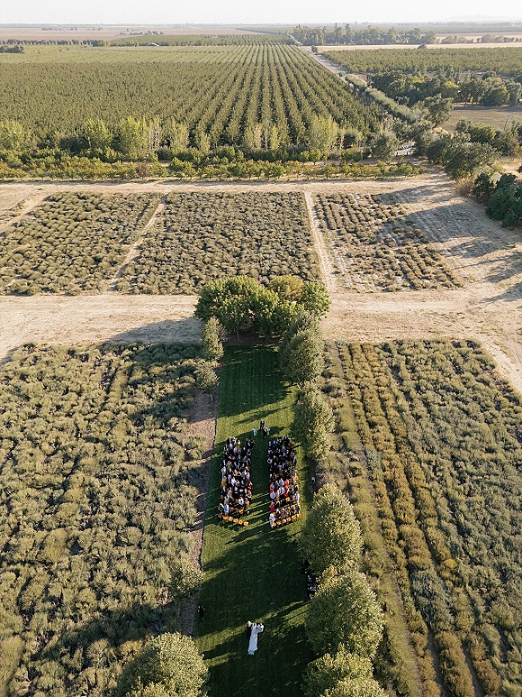 Outdoor wedding ceremony seen from above, guests seated along an aisle runner between trees in an orchard with farm fields beyond