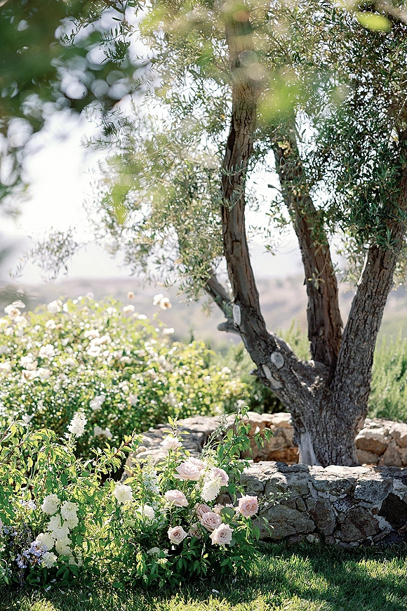 Garden wedding flowers in blush roses and white blooms with greenery edging a lawn aisle beside a stone wall under an olive tree