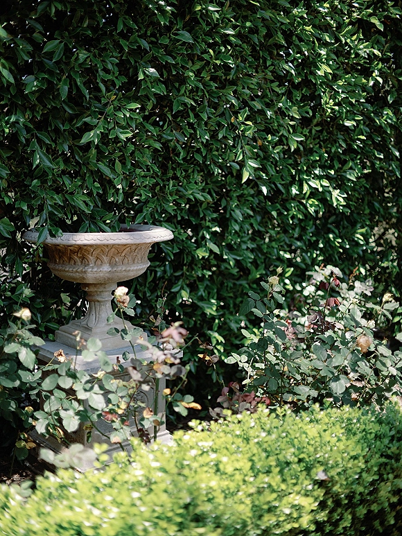 Garden urn decor on a stone urn pedestal surrounded by rose bushes and trimmed hedge greenery against dense garden foliage backdrop