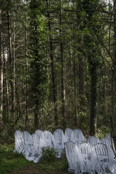 Ceremony seating with tulle chair decor amid a tranquil woodland, ivy-covered trees and soft grass forming a natural backdrop.