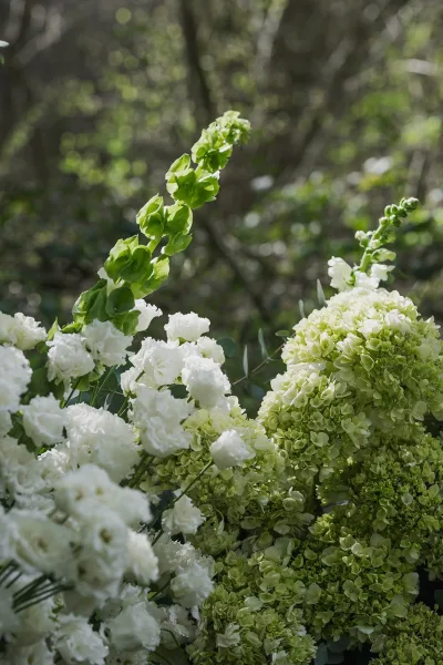 Wedding flowers, lush green and white ceremony flowers with hydrangea clusters nestled amid garden greenery and framed by woodland trees.