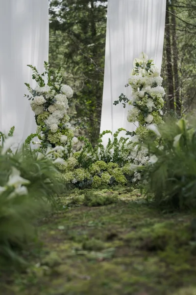 Ceremony setup showcasing outdoor ceremony decor with draped fabric, set on mossy ground beneath forest trees.