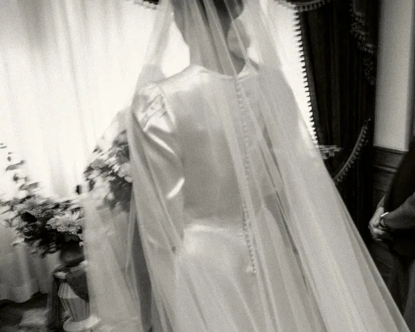 Bridal portrait showing the back of wedding dress as the bride stands with a bridal veil, framed by curtains and warm wood paneling.