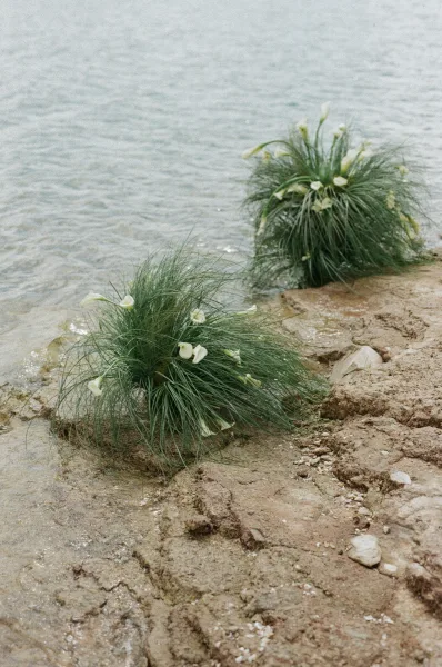 Ceremony aisle decor with white calla lily clusters and ornamental grass lining a sandy lakeshore path beside water and rocks