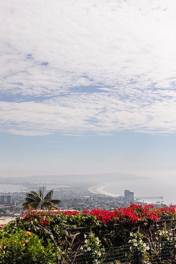 Coastal landscape with an ocean view overlook from a hillside terrace, featuring a palm tree and flowering shrubs above beach and skyline
