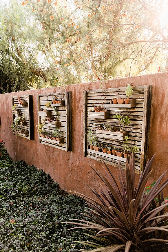 Wedding venue landscaping with an outdoor venue succulent wall of wood wall planters and terracotta pots against a stucco wall with trees