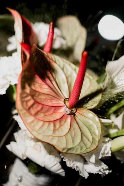 Engagement ring detail on anthurium flower with white blooms and greenery, water droplets and diamond sparkle against dark blurred florals