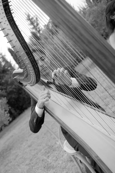 Wedding harpist playing a concert harp in a suit jacket and tie on an outdoor lawn with trees during a harp music wedding ceremony