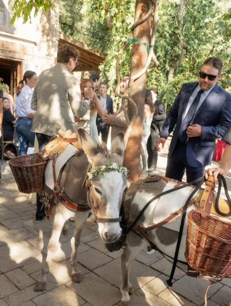 Donkeys at wedding with floral crown and wicker baskets stand on a rustic outdoor patio as guests mingle near trees and barn