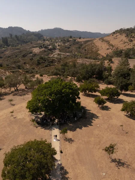 Outdoor wedding ceremony captured in an aerial wedding ceremony view, with stone aisle petals and chairs beneath tree shade, mountains beyond