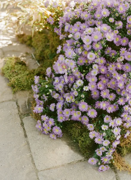 Wedding aisle flowers with purple daisy accents and greenery lining a stone walkway in an outdoor garden ceremony setting