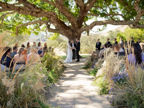 Outdoor wedding ceremony with bride and groom at the altar beneath a large tree, guests seated along a stone aisle with purple flowers