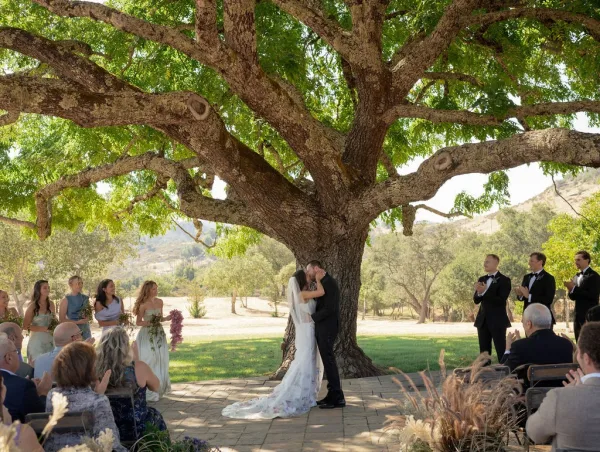Ceremony kiss moment as bride in veil and groom in black suit kiss under a large tree, bridal party and guests on a lawn backdrop
