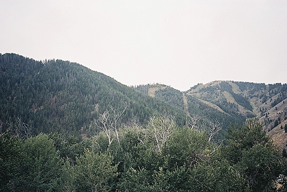 Mountain landscape with forest mountain view of pine-covered ridges and treeline foreground under an overcast sky