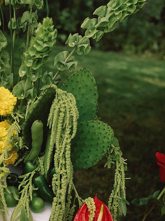 Wedding floral arrangement cactus wedding centerpiece featuring cactus pads, hanging amaranthus, red anthurium on a garden lawn