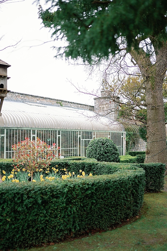 Garden greenhouse with trimmed hedges and bright daffodils beside a stone wall, featuring a metal-framed glass exterior under trees