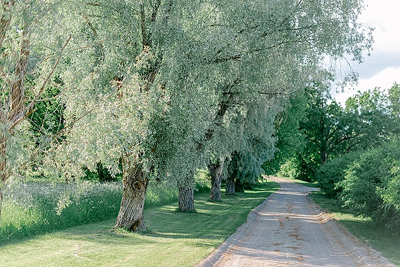 Tree lined road along a country gravel road curving under tall summer trees, bordered by green grass and shrubs beneath clouds