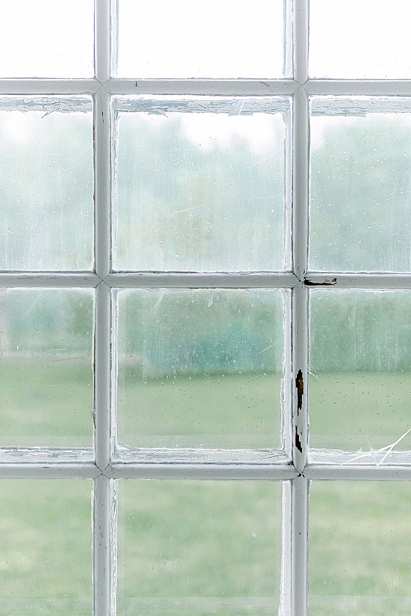 Window background with a white painted window frame and panes, set against a green landscape of trees and open sky beyond