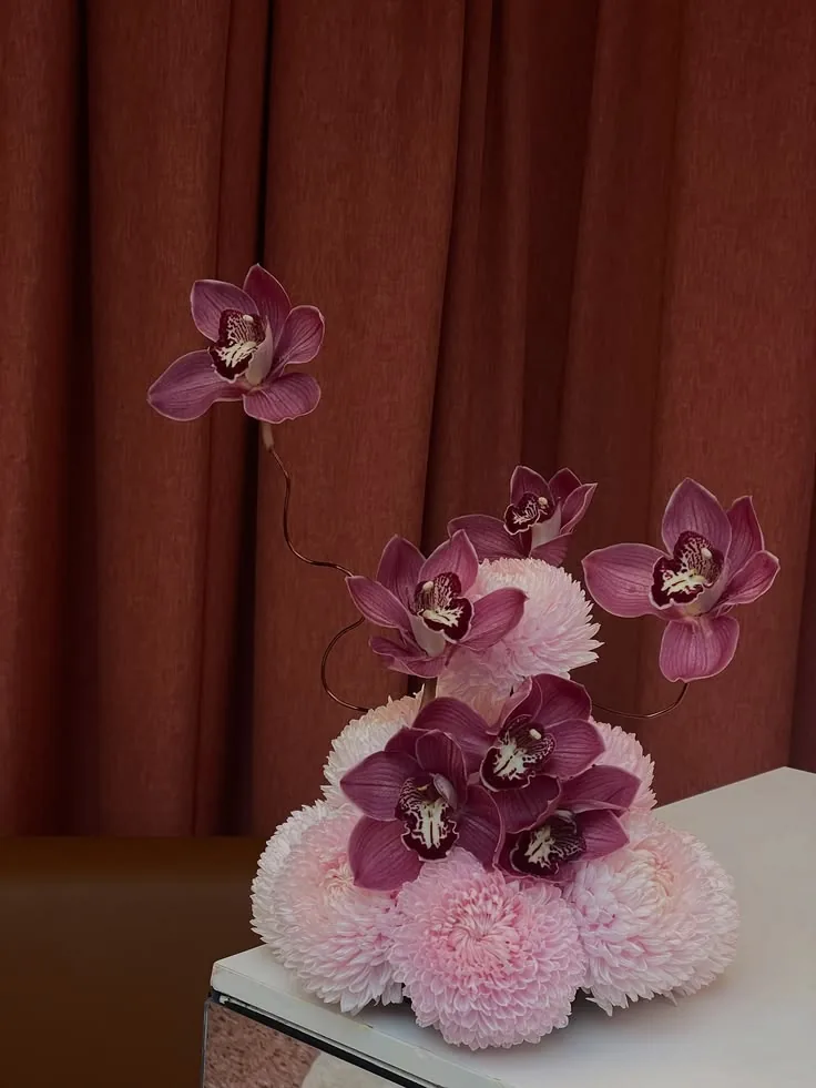 Magenta cymbidium orchids rising from pink chrysanthemums