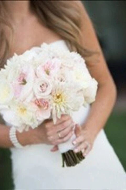 Christie Rose Events