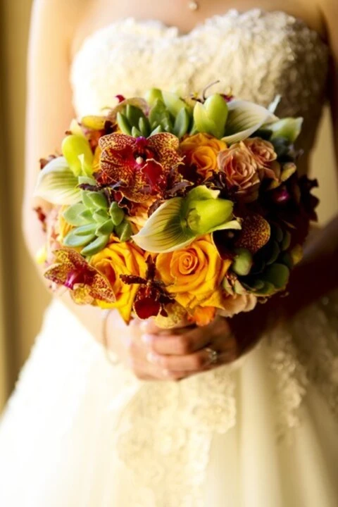 Amoreena Photography