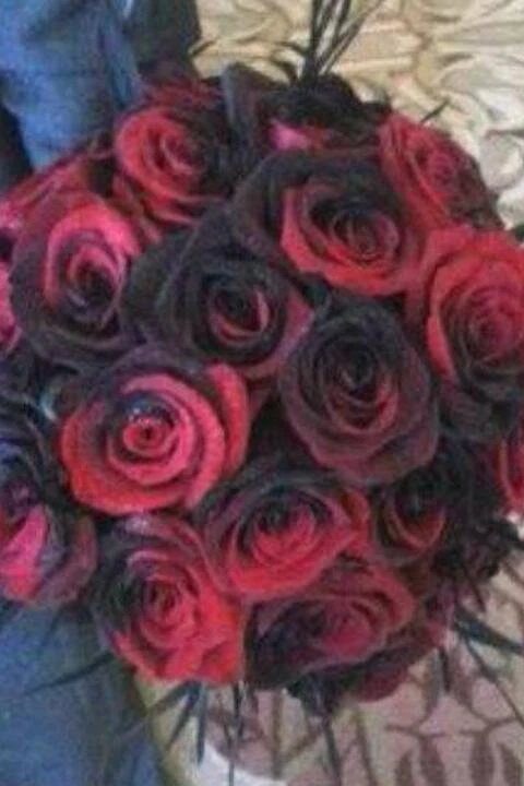 Ambiance Florals & Events