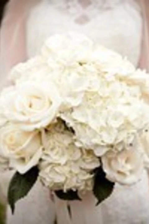 Maggie Gillespie Designs