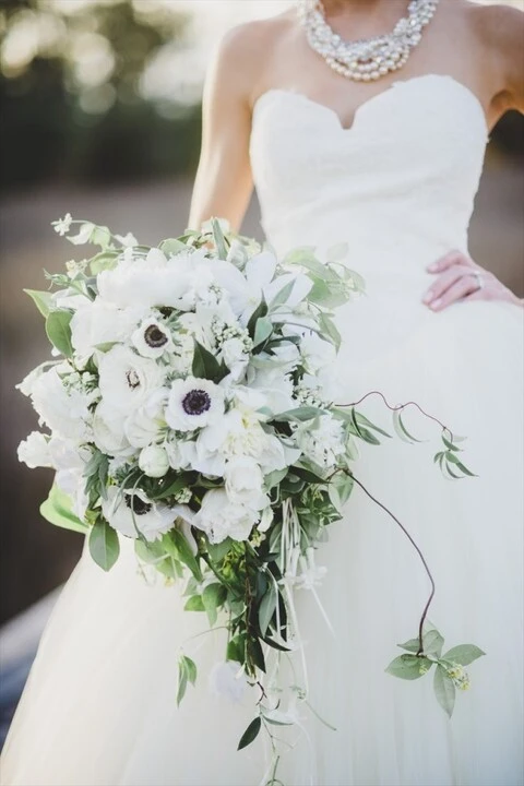 Sara York Grimshaw Designs