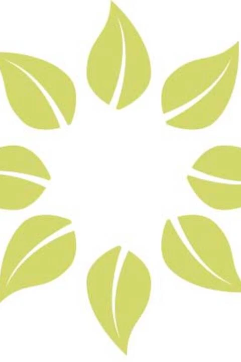 Meg Simone Wedding Films