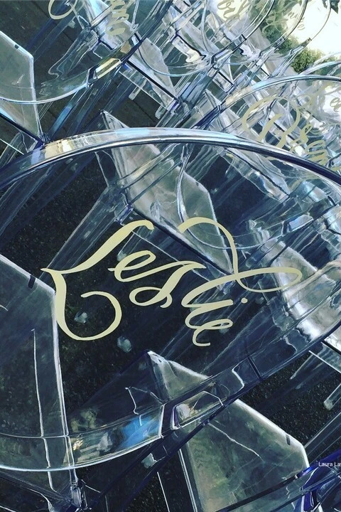 Laura Lavender Calligraphy & Illustration