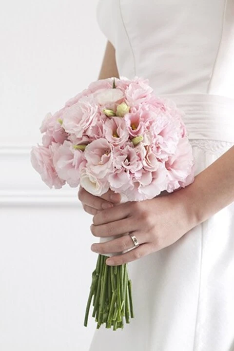 Blossom + Stem Floral Design