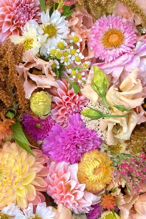 Strawberry Moon Blooms