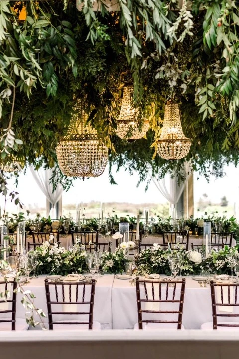 The Ladybird Event Co 