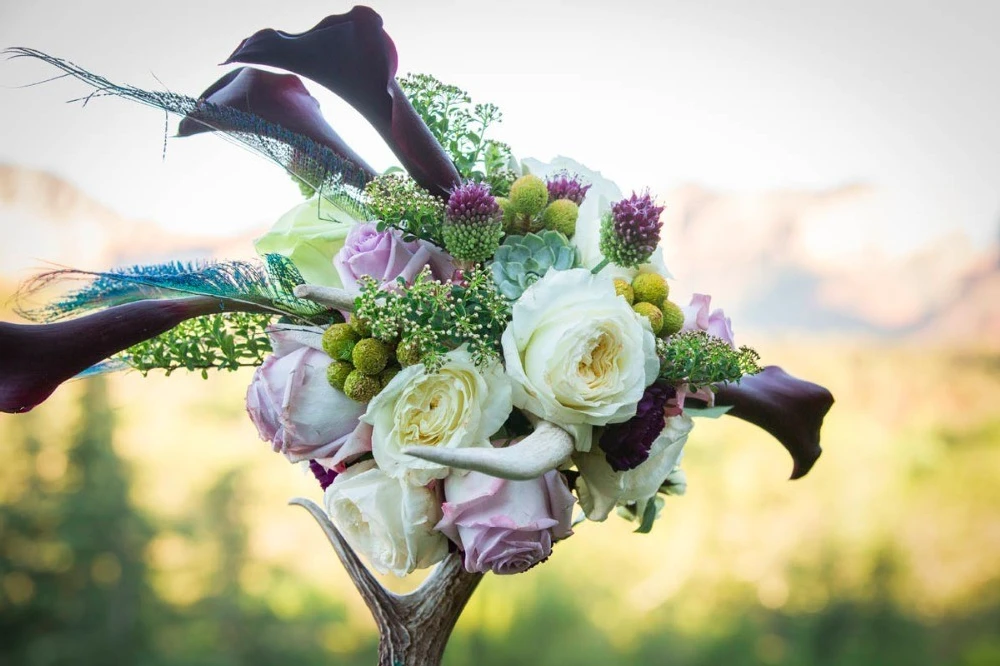 A Wedding for Michelle and Barry