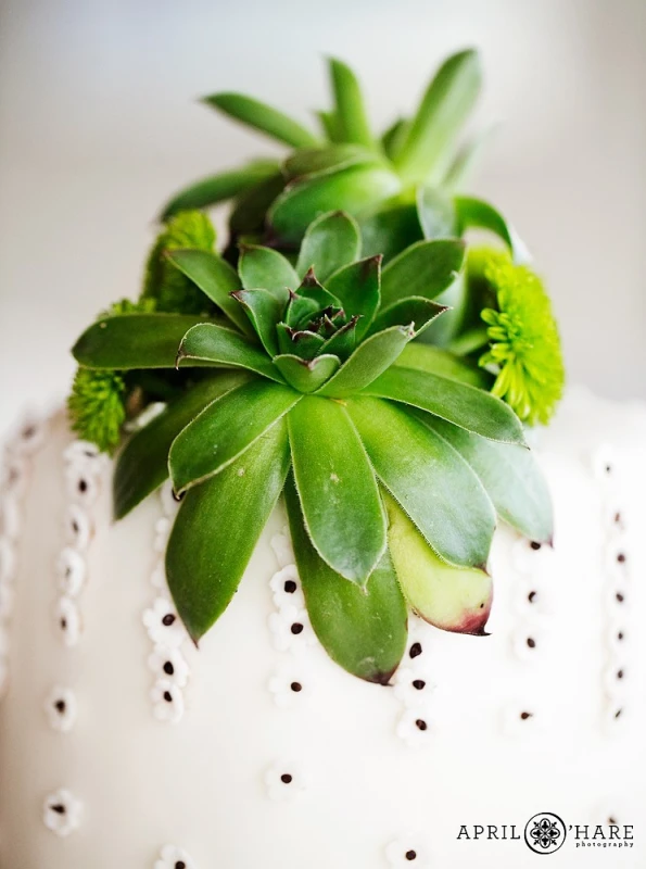 A Wedding for Jessica and Stefan