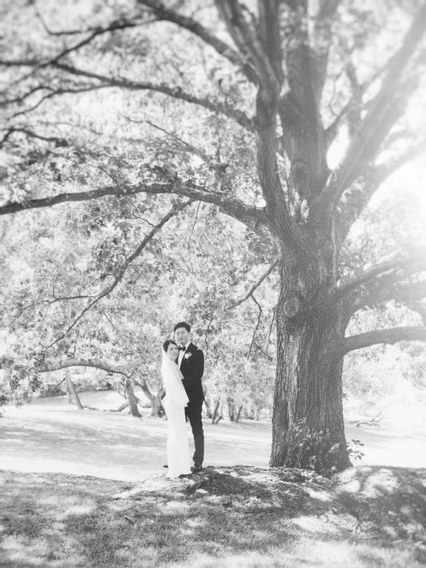 A Wedding for Judy and Steve